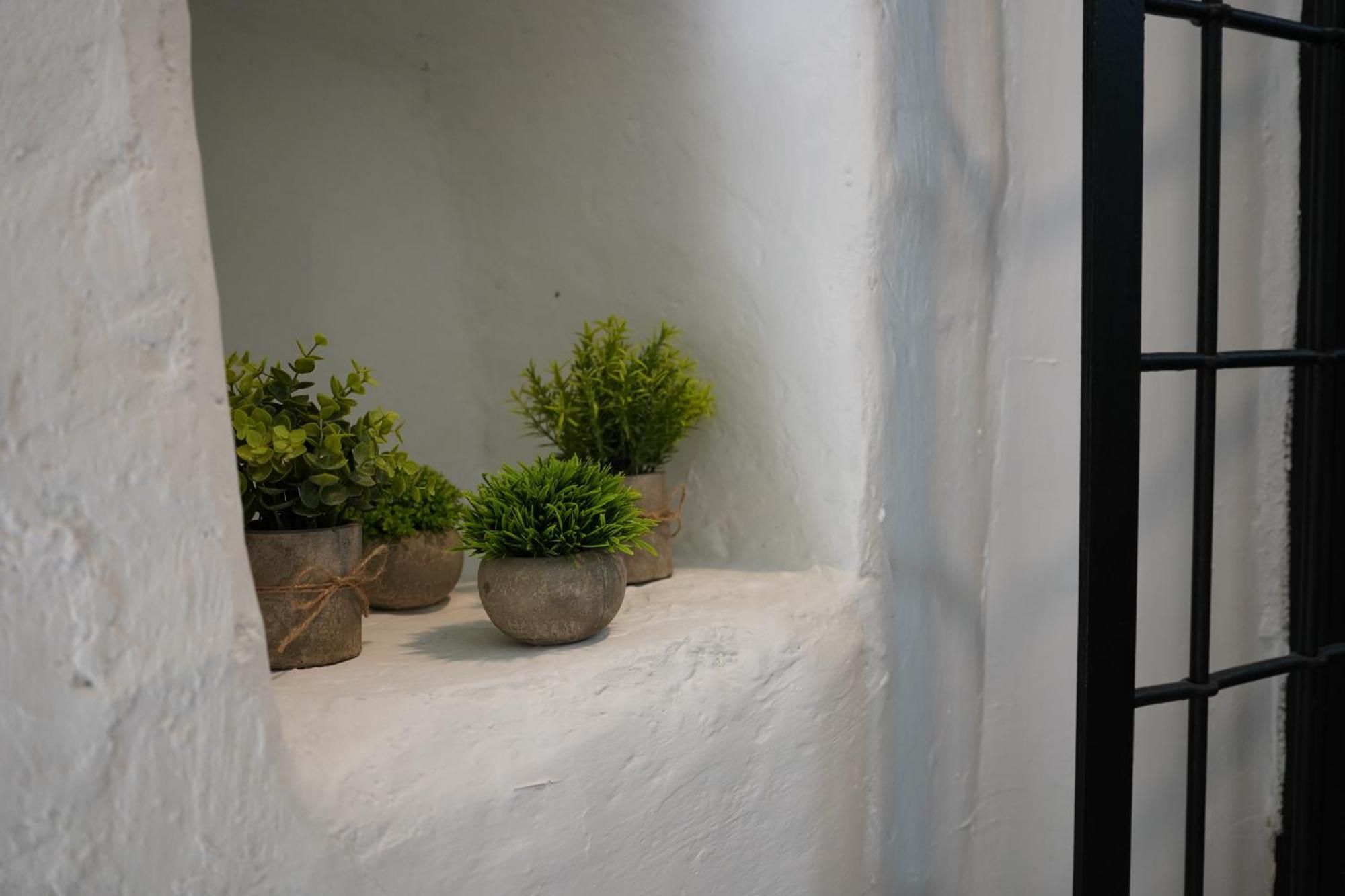 Apartment Belvedere *