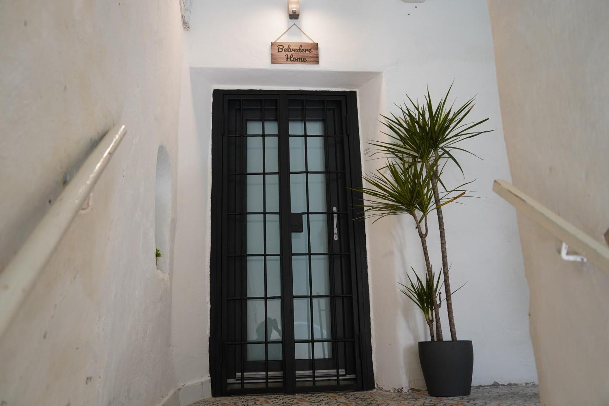 Apartment Belvedere *